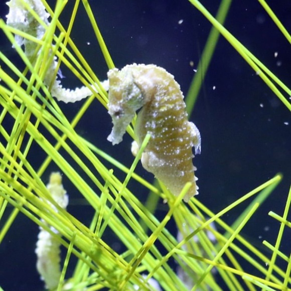 Meet your Posher, Hayley - Picture 1 of 1